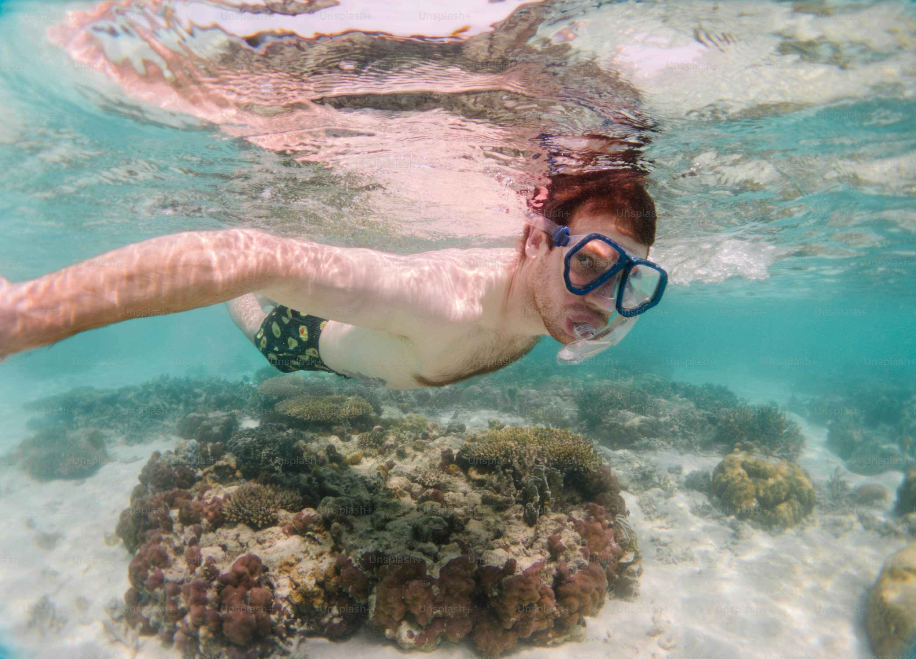 Ocean Dive Adventure